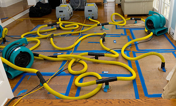 Professional Crawl Space Water Removal technician working in Bruceville, TX